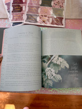 Load image into Gallery viewer, Galatians Bible Study